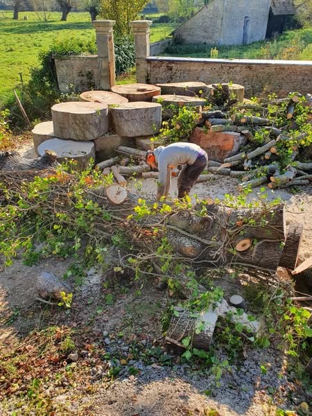 entreprise paysagiste douvres : abattage