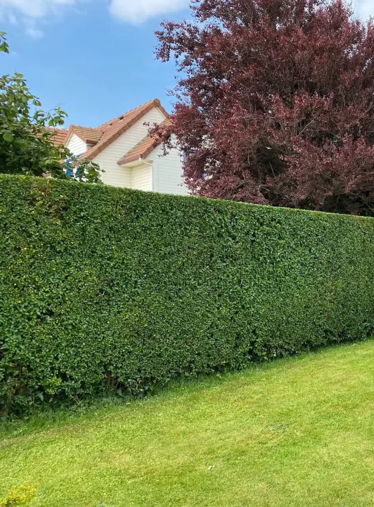 visuel entreprise paysagiste calvados